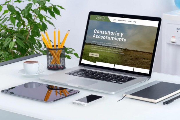 Diseño Web a Medida para Consultora
